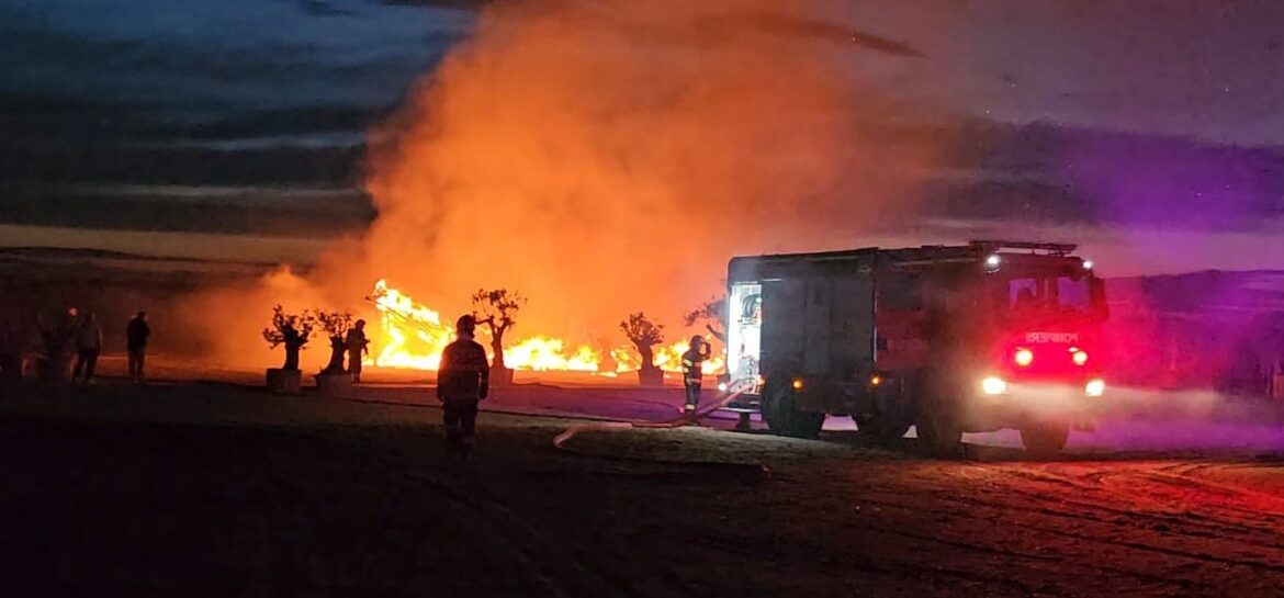 Incendiu puternic în stațiunea Mamaia